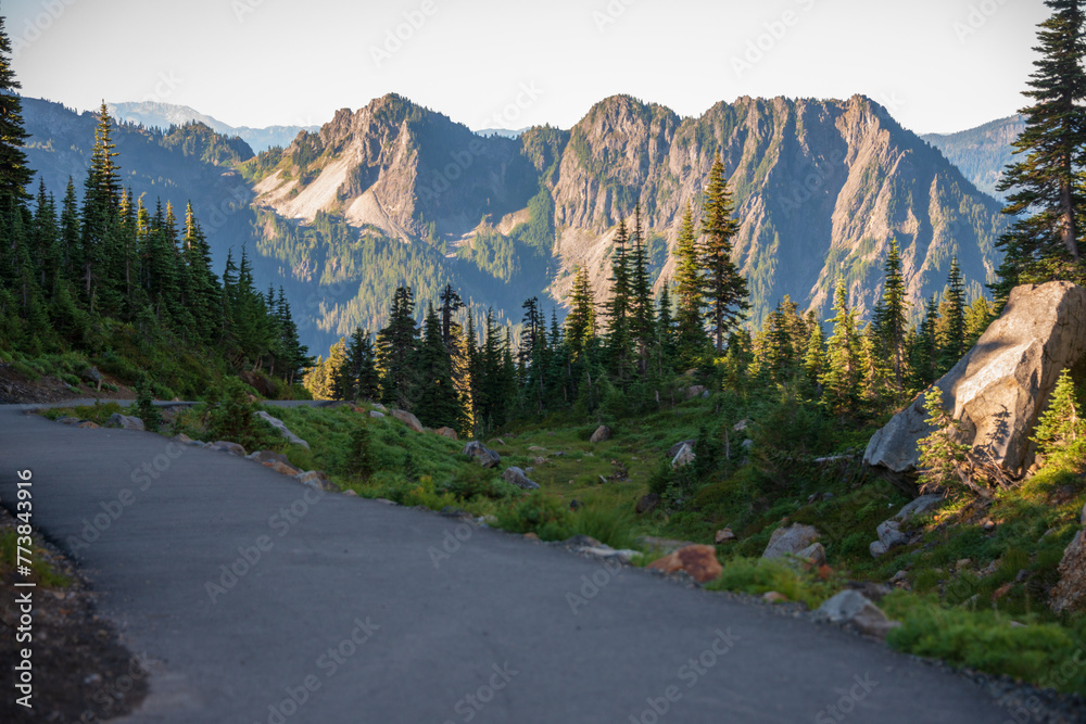 Paved Trail at Mount Rainier National Park in Washington State