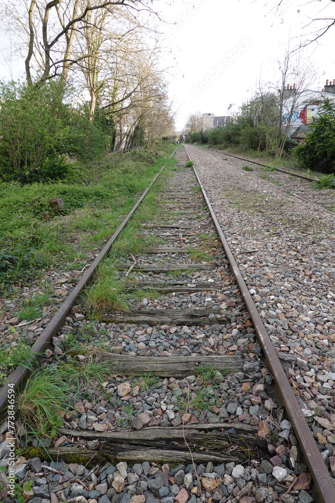 Fototapeta premium Ligne de Petite ceinture abandonnée dans Paris 20ème