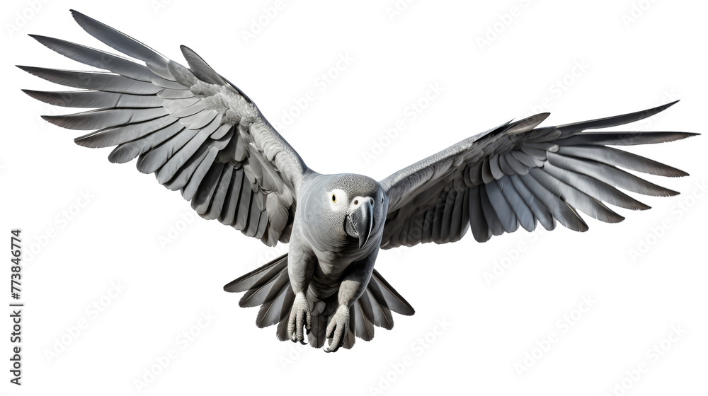 Obraz premium A majestic bird soars gracefully through the open sky with outstretched wings