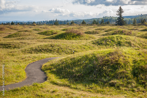 The Paved Trail Through Mima Mounds Natural Area Preserve, Nature preserve in Washington State photo