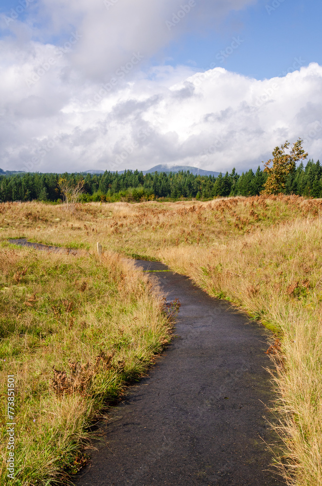 The Paved Trail Through Mima Mounds Natural Area Preserve, Nature preserve in Washington State