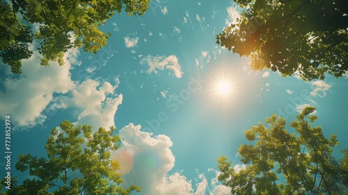 Sunlight Filtering Through Forest Trees