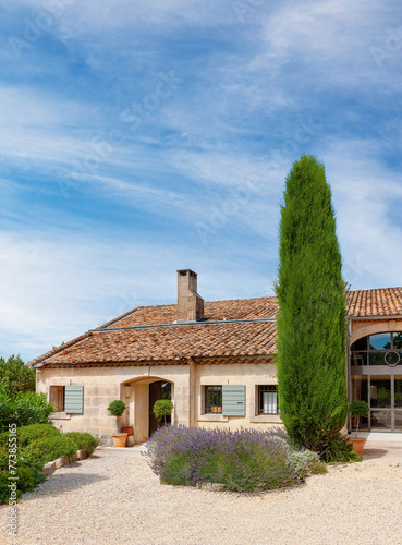 A lavender bush and a cypress tree in the courtyard of an old house with a tiled roof. Provence, France