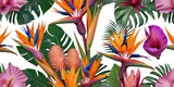 Ai generated vibrant exotic flower pattern isolated on transparent background 