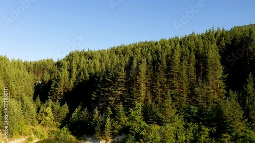 Drone shot aerial view scenic landscape of Big Lake and nature wood and forest.