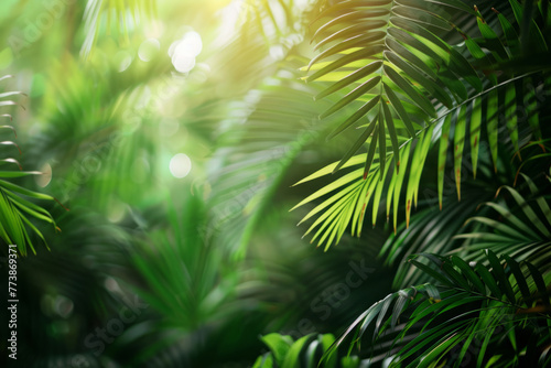 Tropical exotic leaves background. Natural landscape with frame made of green plants in rainforest © Lazy_Bear