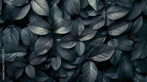Monochrome Leaves in Nature