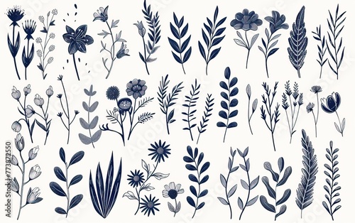 Abstract doodle compilation, featuring wildflower and botanical elements with editable stroke detail
