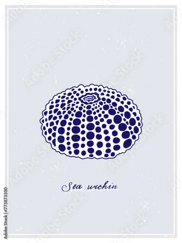 White Sea Urchin with blue spots. Vintage style poster. Hand drawn graphic design collection. Vector illustration on a colorful background.