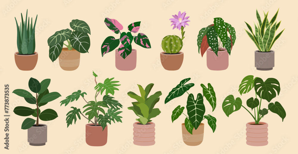 Set of home plants in flowerpots. Houseplants for home decoration. Urban jungle. Hand drawn vector illustration isolated on light background, flat cartoon style. Set of home plants in flowerpots. Houseplants for home decoration. Urban jungle. Hand drawn vector illustration isolated on light background, flat cartoon style.