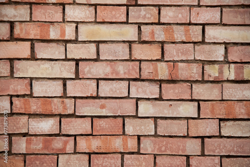 Wallpaper Mural Texture of an old brick wall. Vintage background. Torontodigital.ca