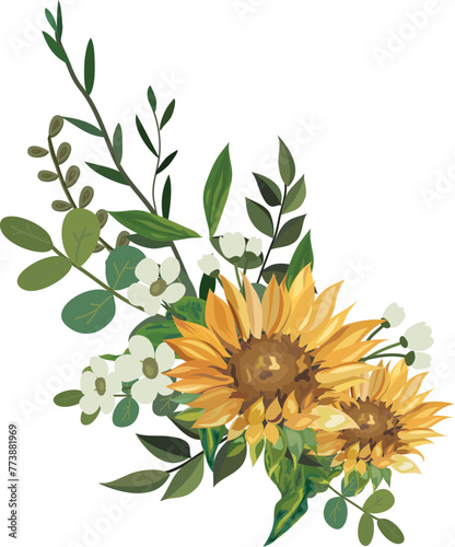 Sunflower illustration on transparent background.
