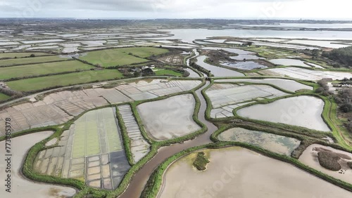 Guérande salt marshes, Loire Atlantique, France