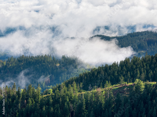 View over forest covered hills with drifting clouds © AVTG