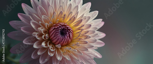 Digital art of a delicate holographic flower with iridescent petals blossoming in a surreal