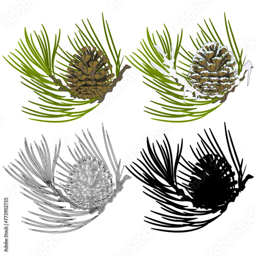 Pine branch with snow and pine cones and  as vintage engraving and silhouette set fifth vector illustration editable hand drawn photo