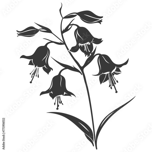 Silhouette bluebell flower black color only
