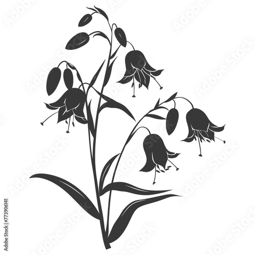 Silhouette bluebell flower black color only