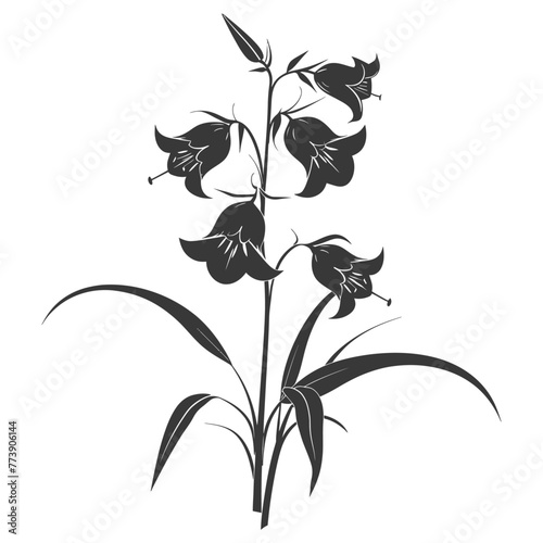 Silhouette bluebell flower black color only