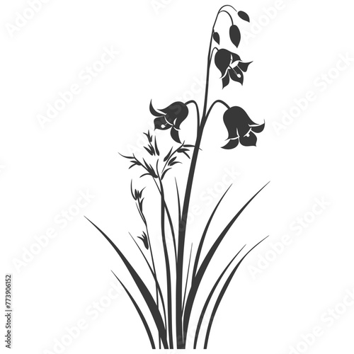 Silhouette bluebell flower black color only