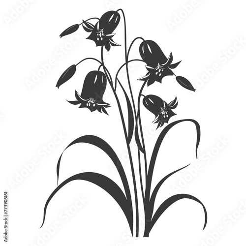 Silhouette bluebell flower black color only