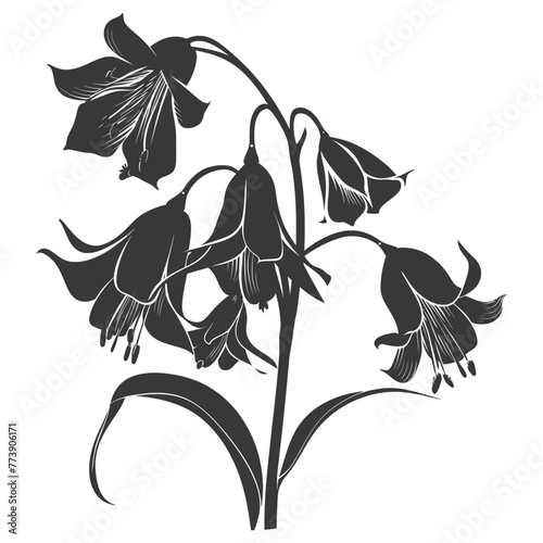 Silhouette bluebell flower black color only