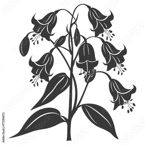 Silhouette bluebell flower black color only