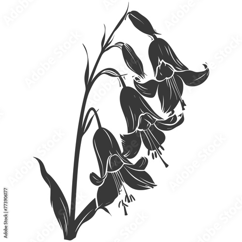 Silhouette bluebell flower black color only