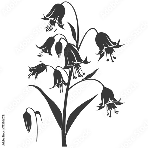 Silhouette bluebell flower black color only