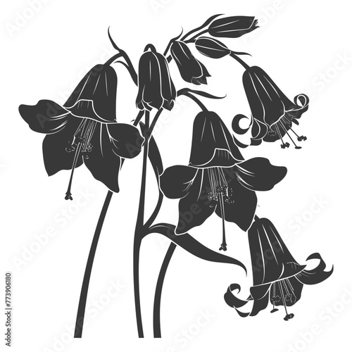 Silhouette bluebell flower black color only