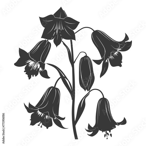 Silhouette bluebell flower black color only