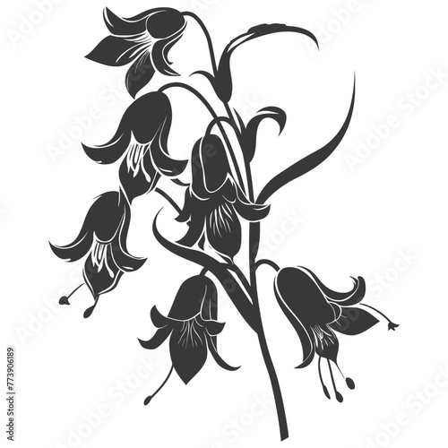 Silhouette bluebell flower black color only