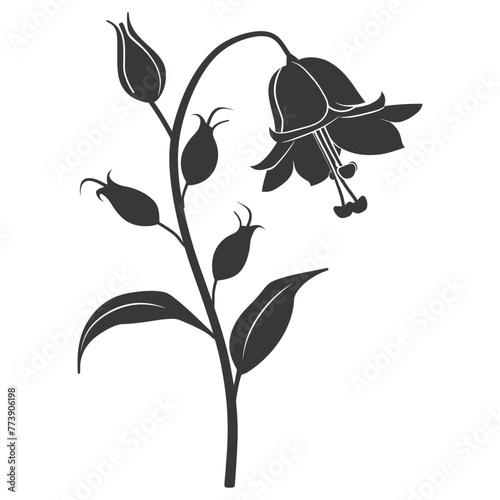 Silhouette bluebell flower black color only