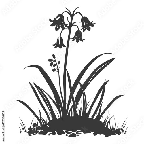 Silhouette bluebell flower in the ground black color only