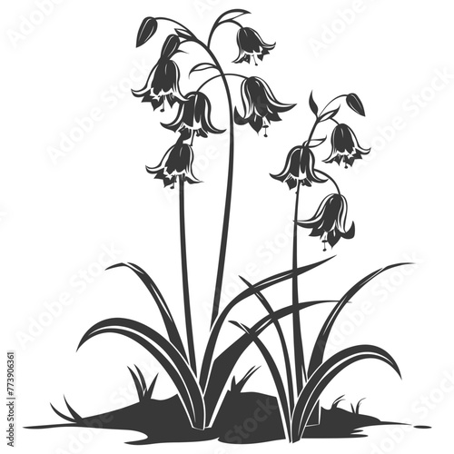 Silhouette bluebell flower in the ground black color only