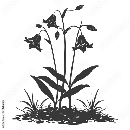 Silhouette bluebell flower in the ground black color only