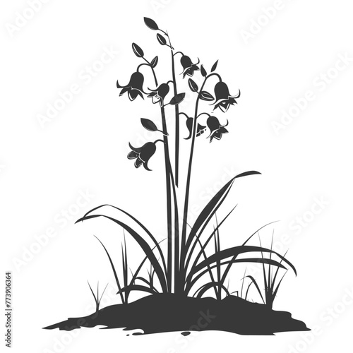 Silhouette bluebell flower in the ground black color only