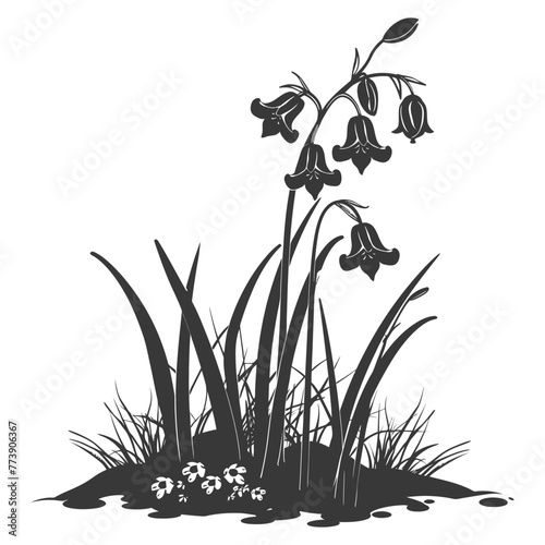 Silhouette bluebell flower in the ground black color only