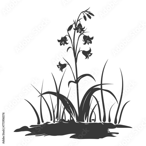 Silhouette bluebell flower in the ground black color only