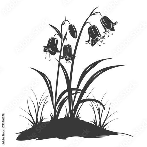 Silhouette bluebell flower in the ground black color only
