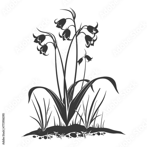 Silhouette bluebell flower in the ground black color only