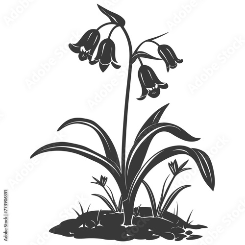 Silhouette bluebell flower in the ground black color only