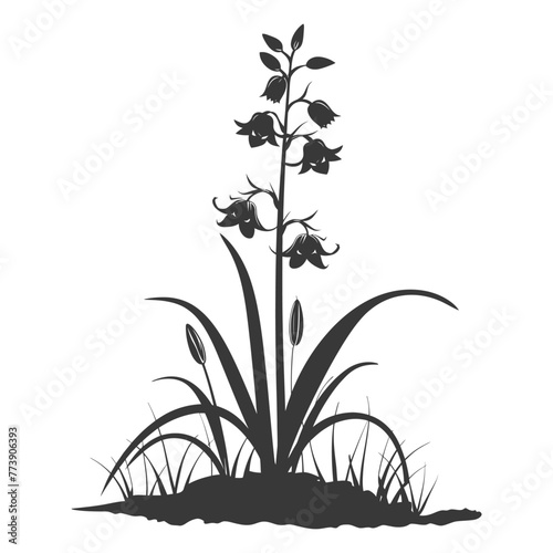 Silhouette bluebell flower in the ground black color only