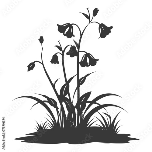 Silhouette bluebell flower in the ground black color only