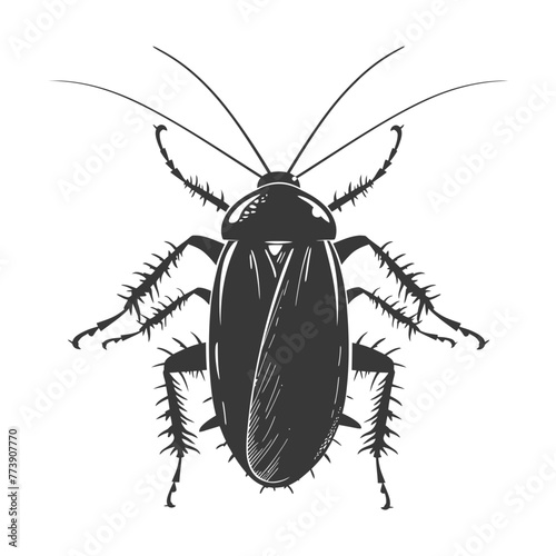 Silhouette Cockroach bug animal black color only full body