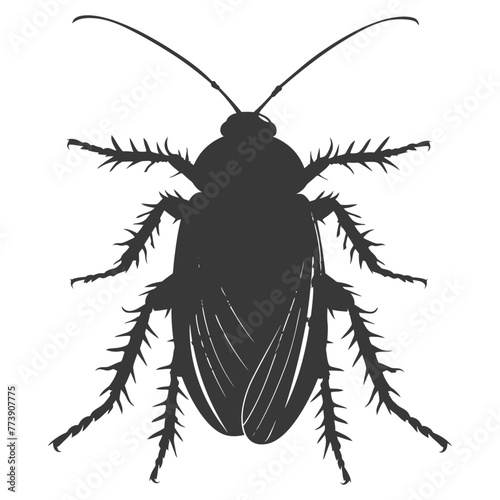 Silhouette Cockroach bug animal black color only full body