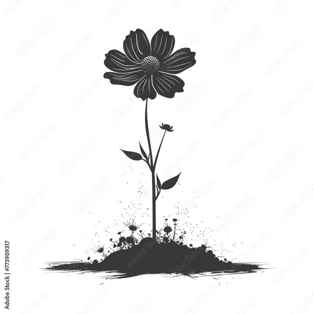 Silhouette cosmos flower in the ground black color only Silhouette cosmos flower in the ground black color only