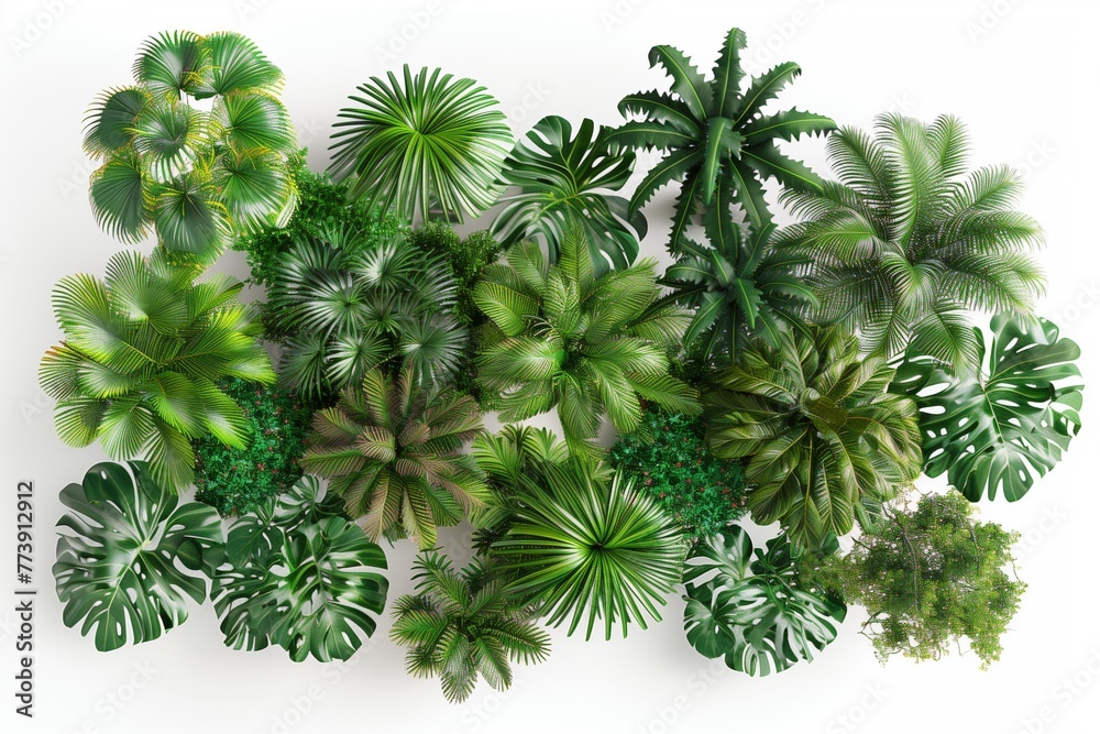 A lush forest canopy. the dense greenery unfolds in layers of texture and color. Generative AI A lush forest canopy. the dense greenery unfolds in layers of texture and color. Generative AI