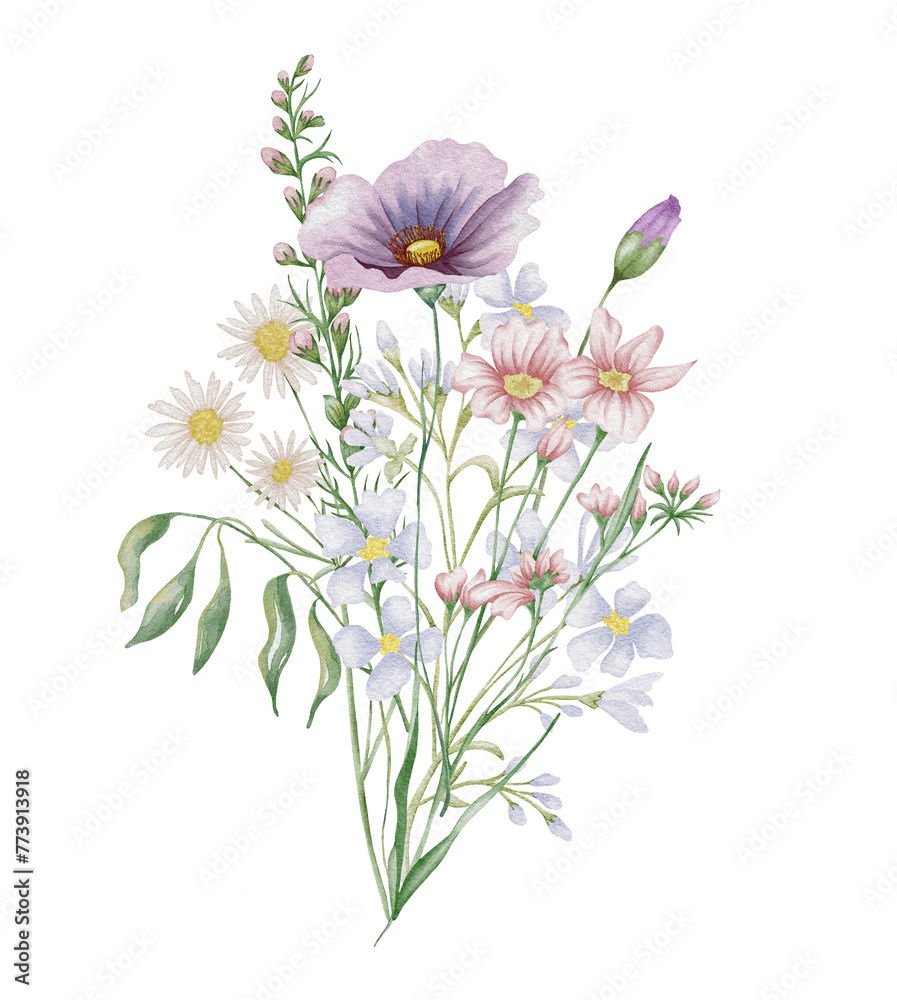 Watercolor wildflowers bouquet. Botanical arrangement of wild flowers and herbs. Summer floral composition