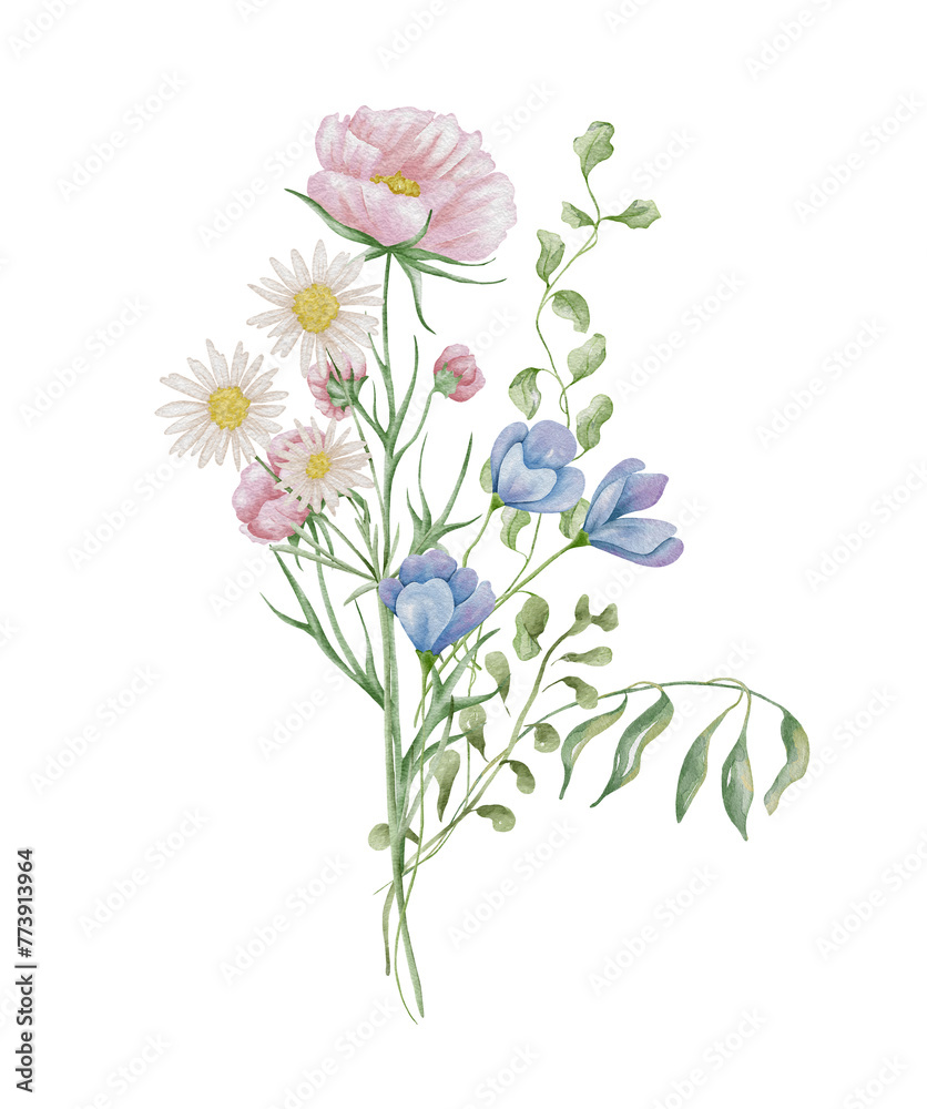 Watercolor wildflowers bouquet. Botanical arrangement of wild flowers and herbs. Summer floral composition